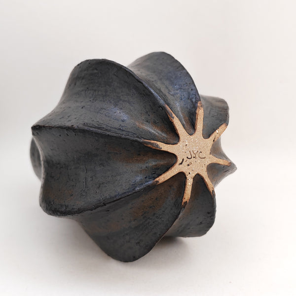dark pod