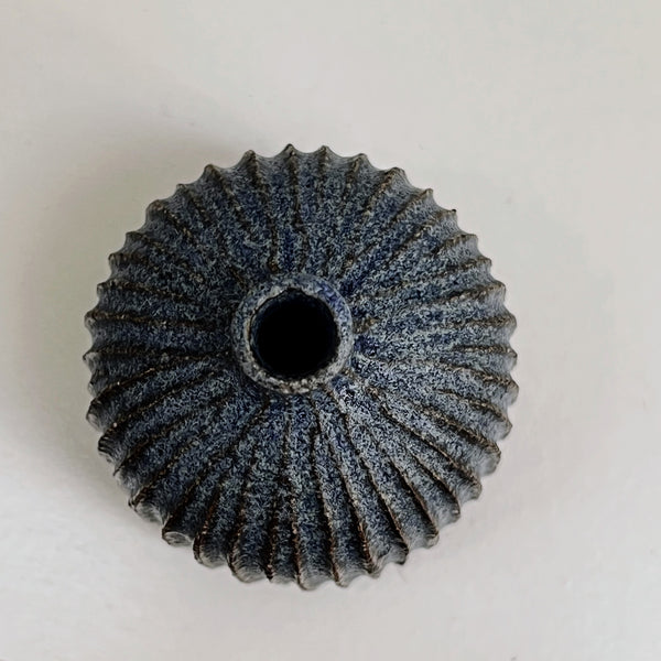 mini 122